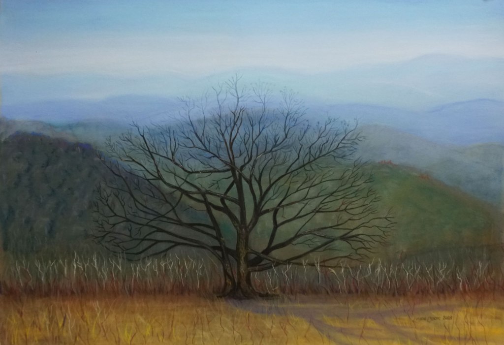 Craggy Gardens Knob, Pastel 18 x 12