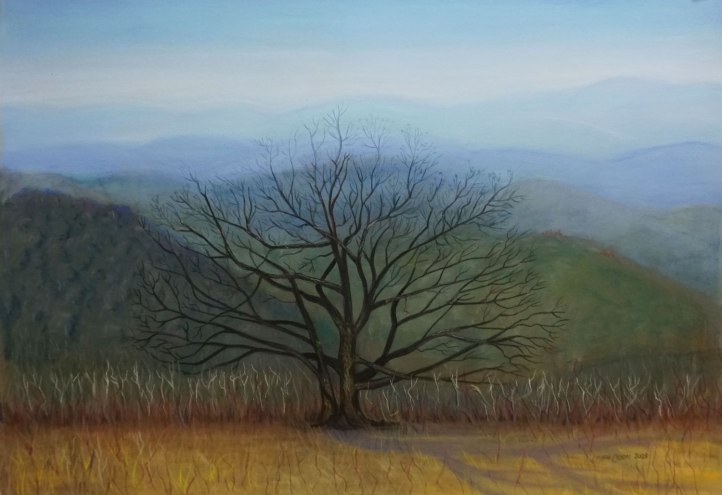Craggy Gardens Knob, Pastel 18 x 12