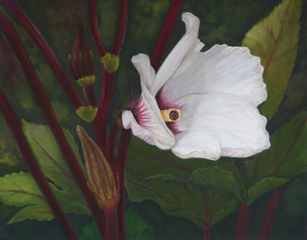 Burgundy Okra, Pastel 12 x 9